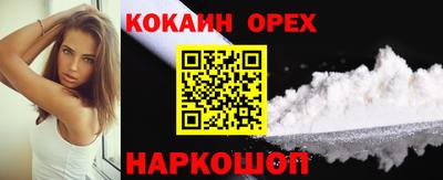 крисы Краснодар