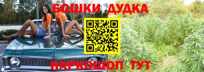 крисы Краснодар