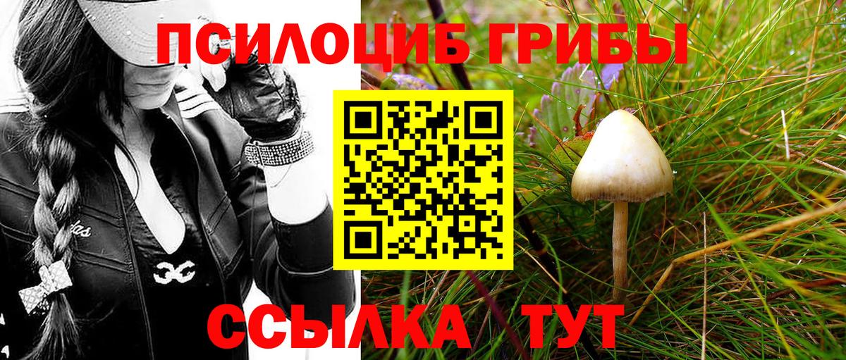 Красноуфимск  Псилоцибиновые грибы мухоморы  Вход с VPN 