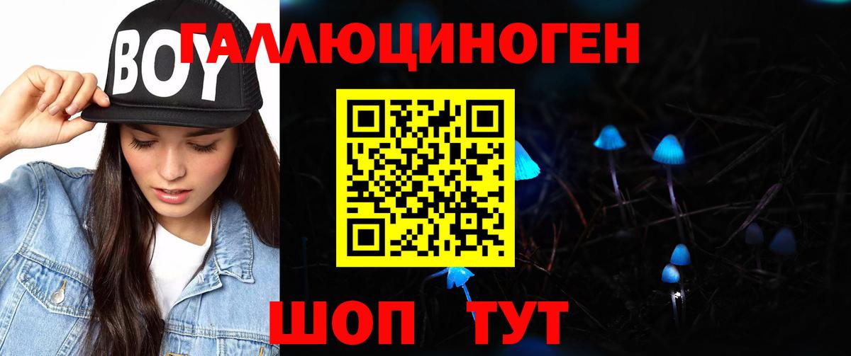 Псилоцибиновые грибы Psilocybe Красноуфимск